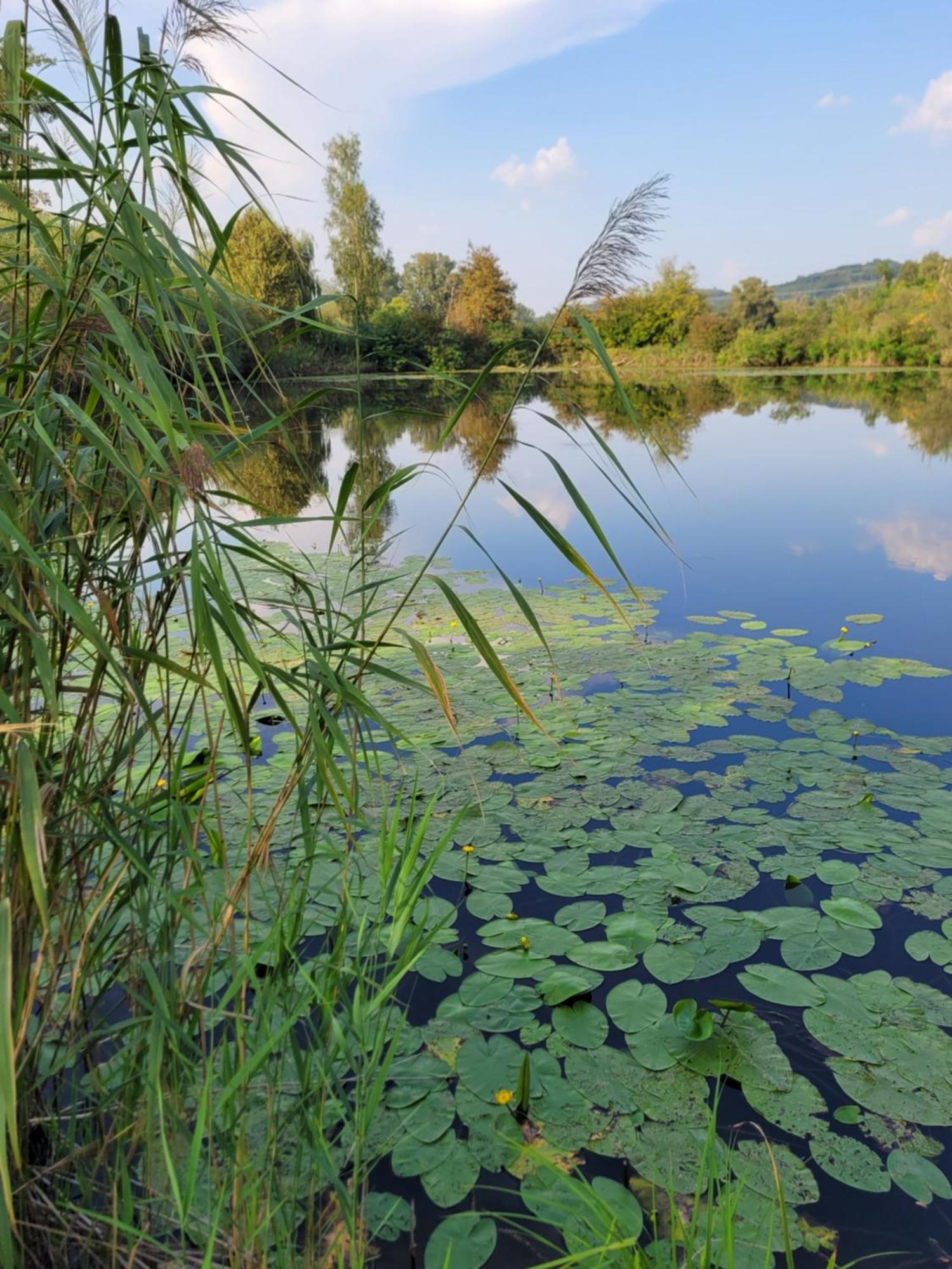 Manipura Villa Szemenyecsörnye Kültér fotó