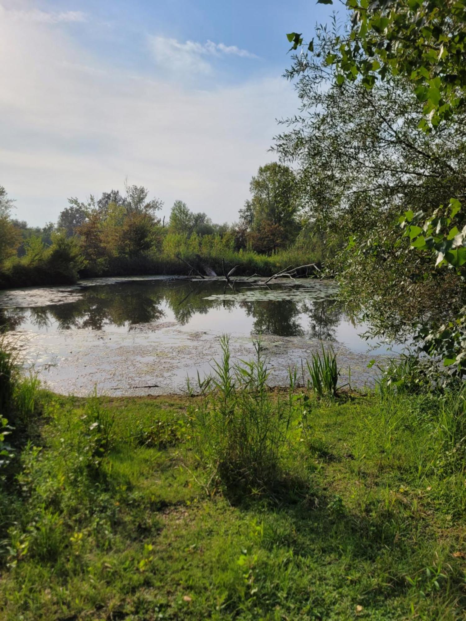 Manipura Villa Szemenyecsörnye Kültér fotó