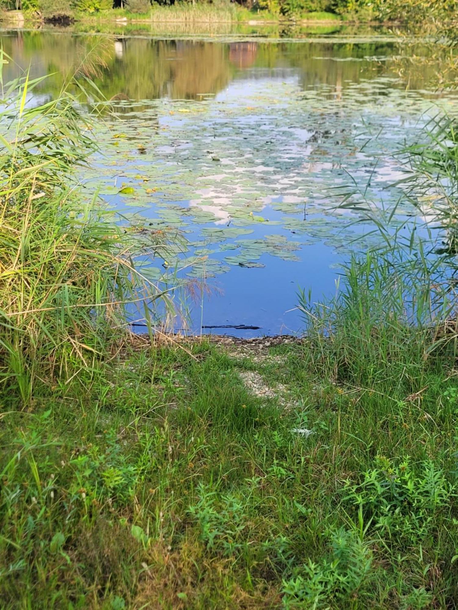 Manipura Villa Szemenyecsörnye Kültér fotó