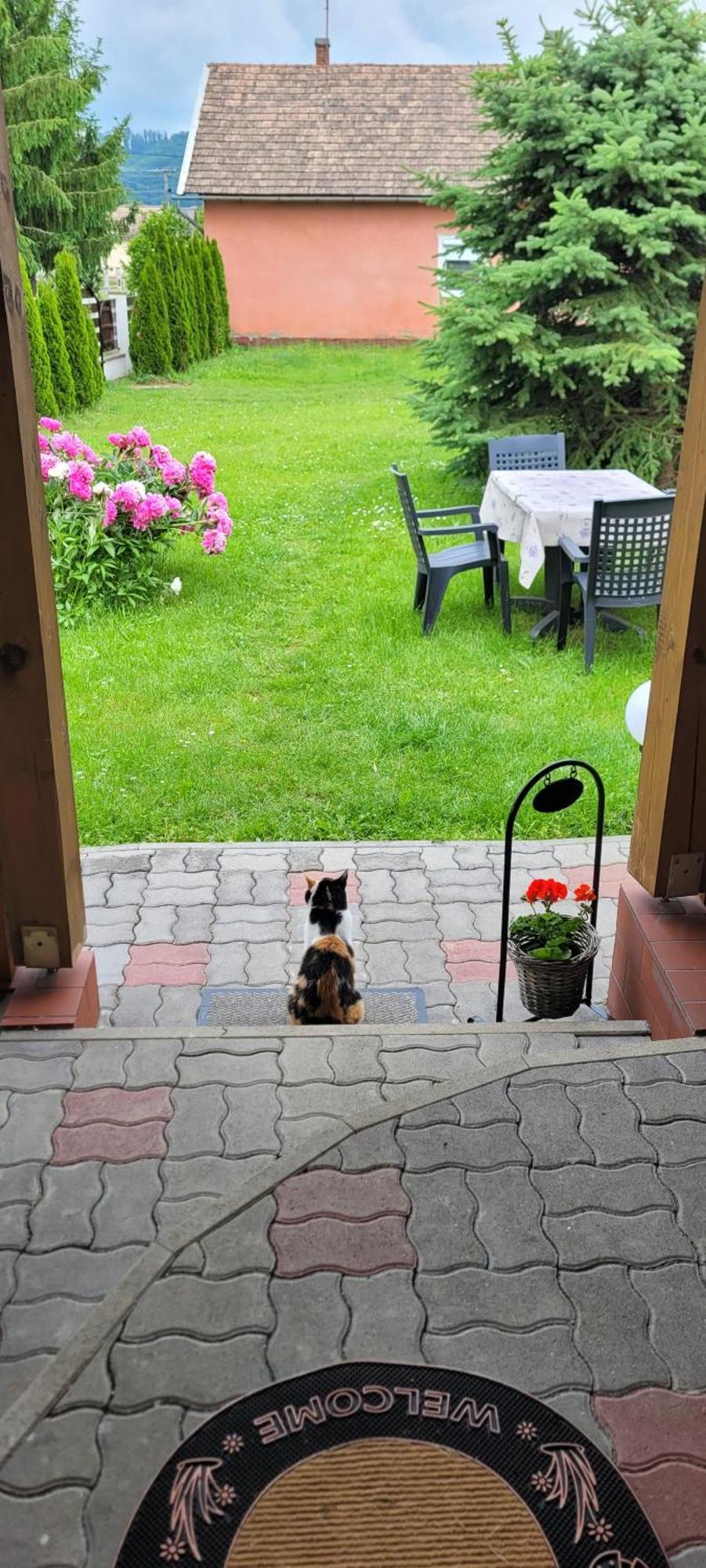 Manipura Villa Szemenyecsörnye Kültér fotó